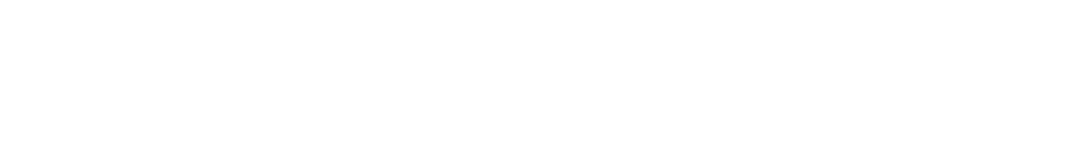 MSM_site_logo_WHITE