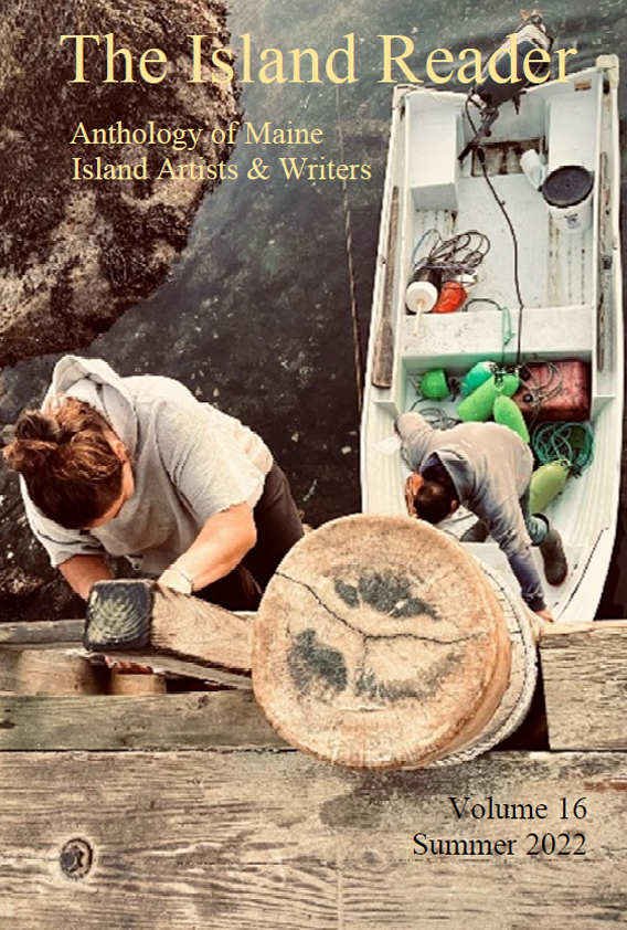 Color photo of The Island Reader's 16th Edition. The camera looks down on a woman as she climbs up a dock ladder from a skiff below.