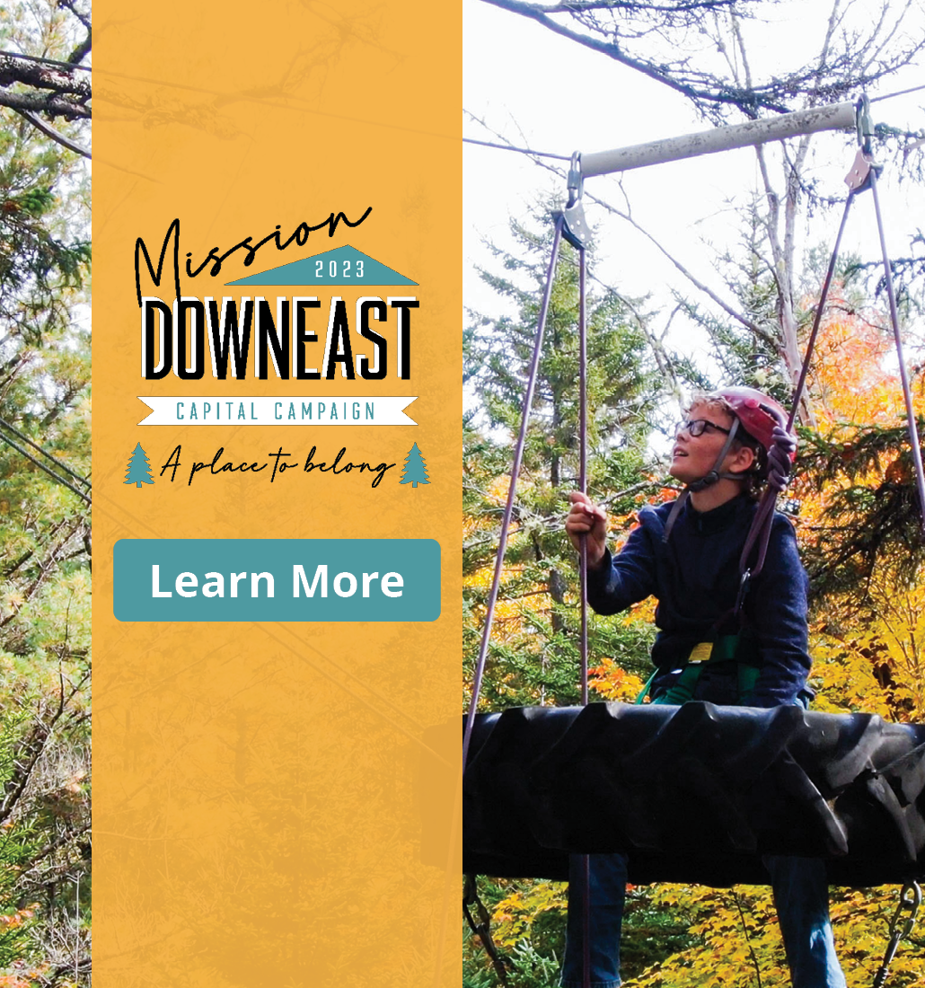 A color photo of a student on the ropes course. A yellow banner reads "Create a place to belong." Learn more by clicking this banner.