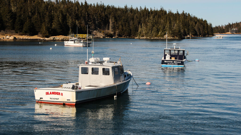 Lobster boats tethered in the harbor on Isle au Haut