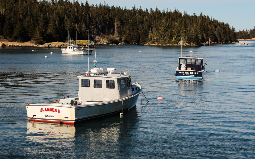 Healthy Water, Healthy Aging on Maine’s unbridged islands 
