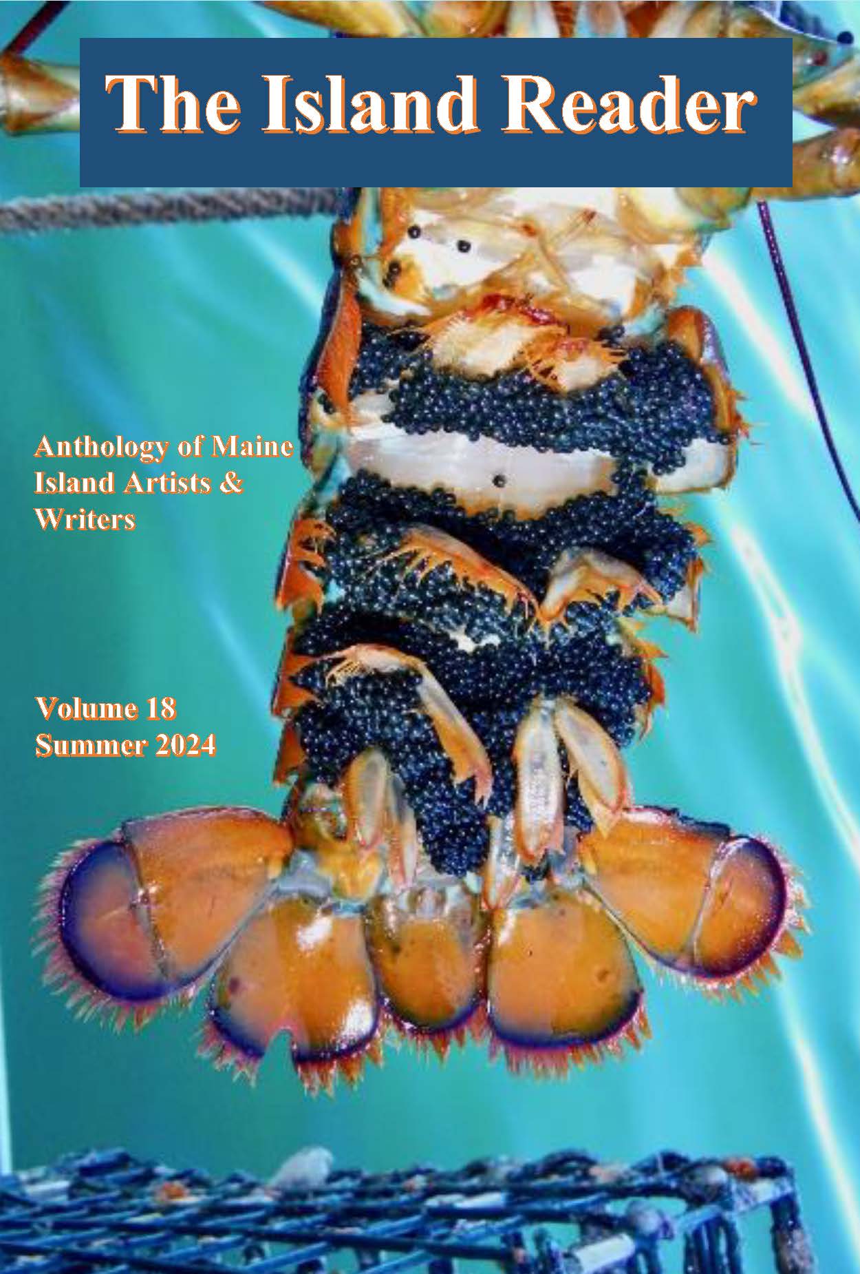 Illustrated cover of a lobster tail surrounded by water.