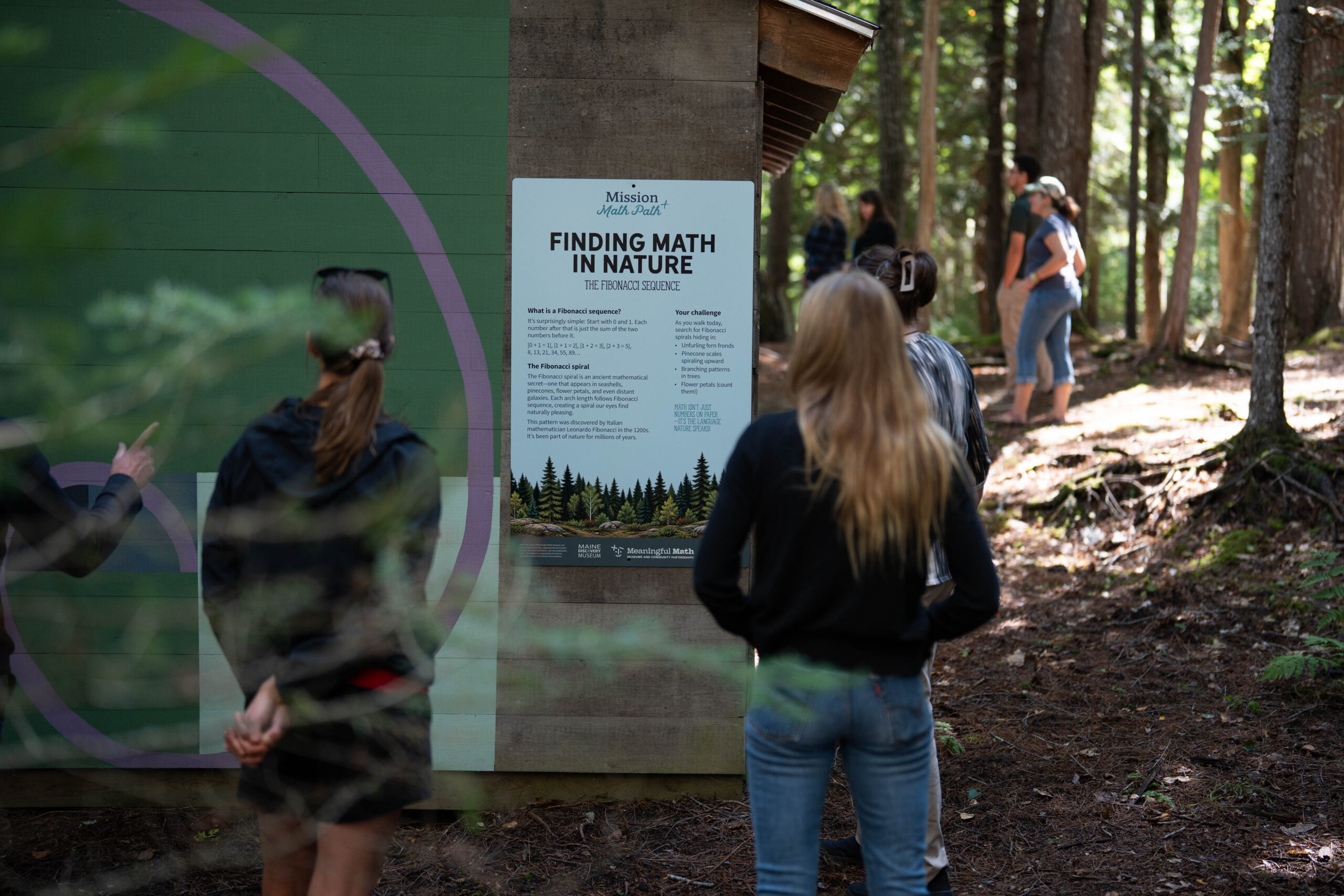 Two people stand in the forest and read a sign about the Fibonacci sequence.